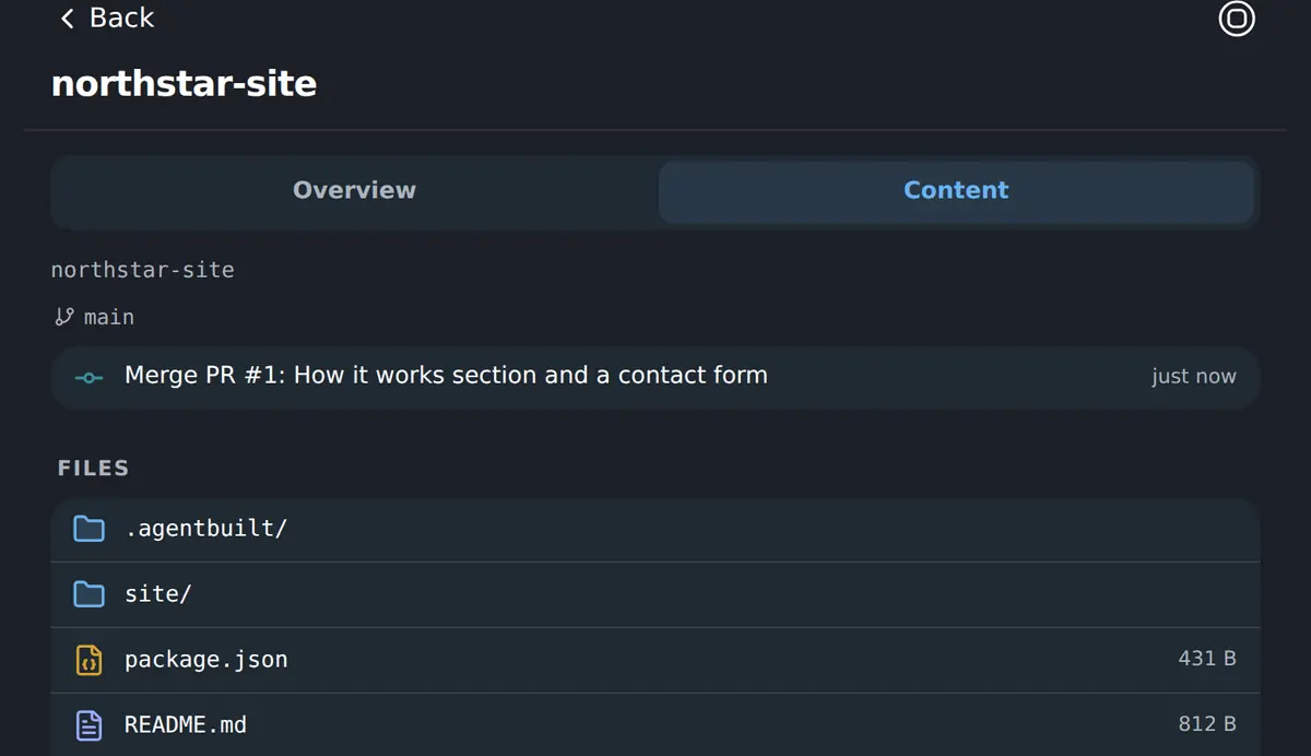 The files in a Workspace repository, readable in the browser